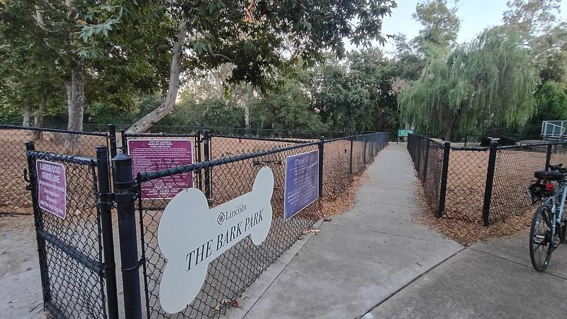 Dog parks