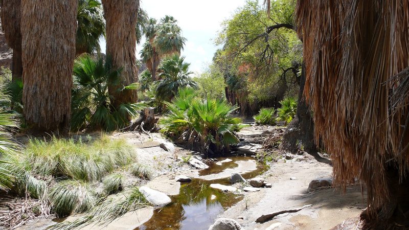 Hiking trails