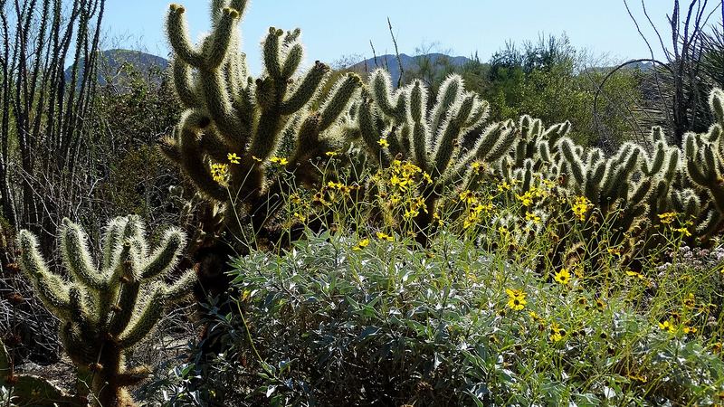 Palm Desert, California